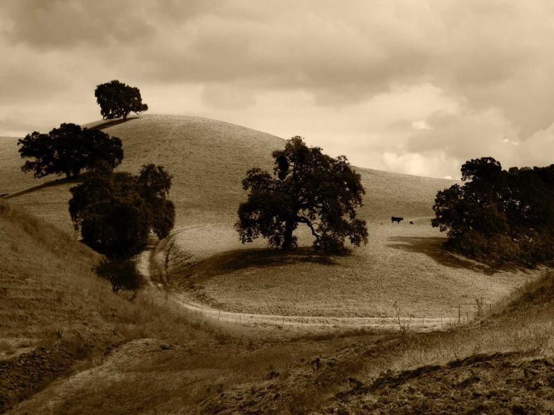 sudoku variants screenshot 2